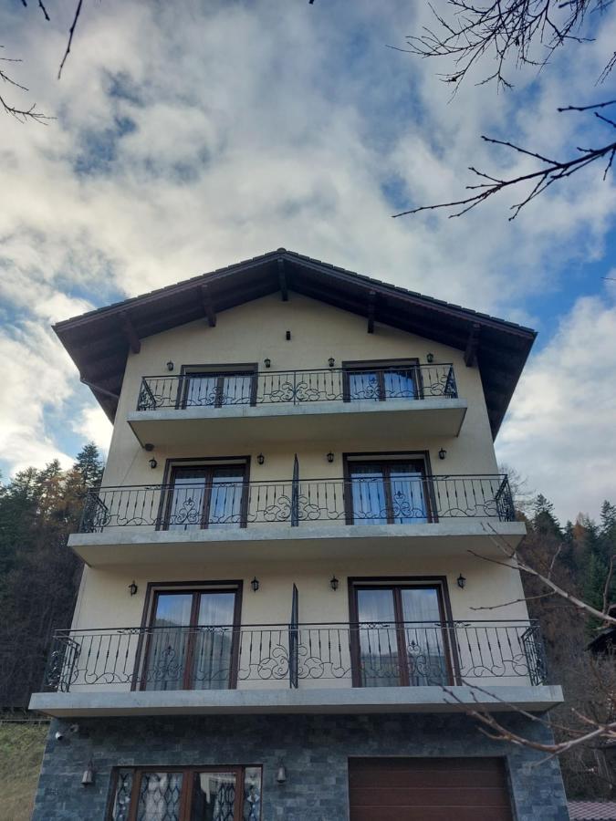 Guest house Fulg De Nea Sinaia